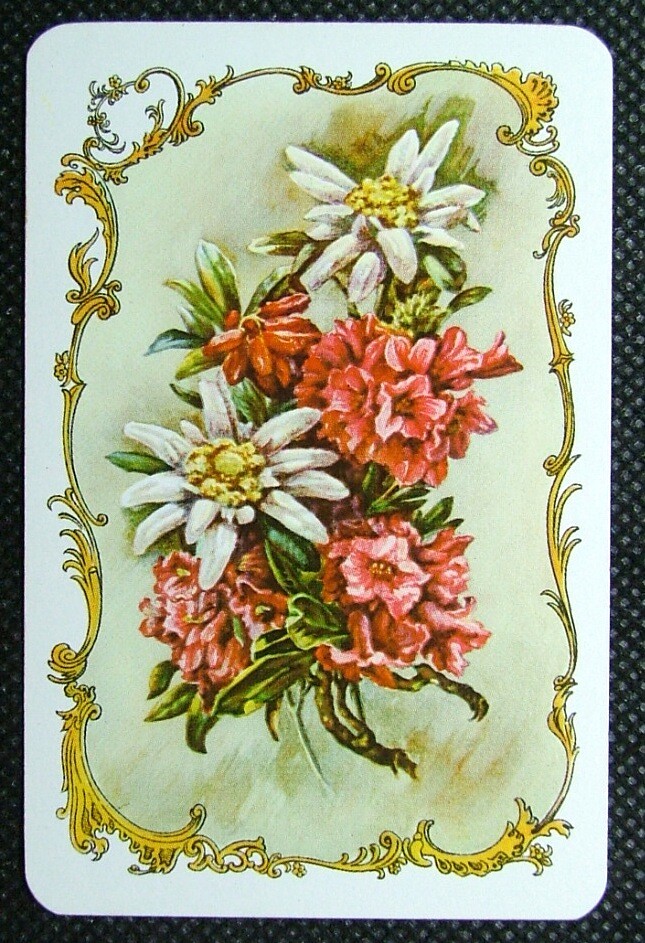 1 x Joker playing card single swap Alpine Flowers Piatnik No 2208 R ZJ 634