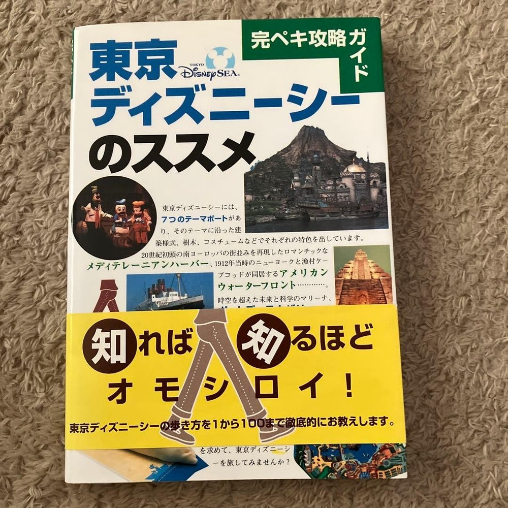 Tokyo DisneySea Complete Strategy Guide Attractions Tips