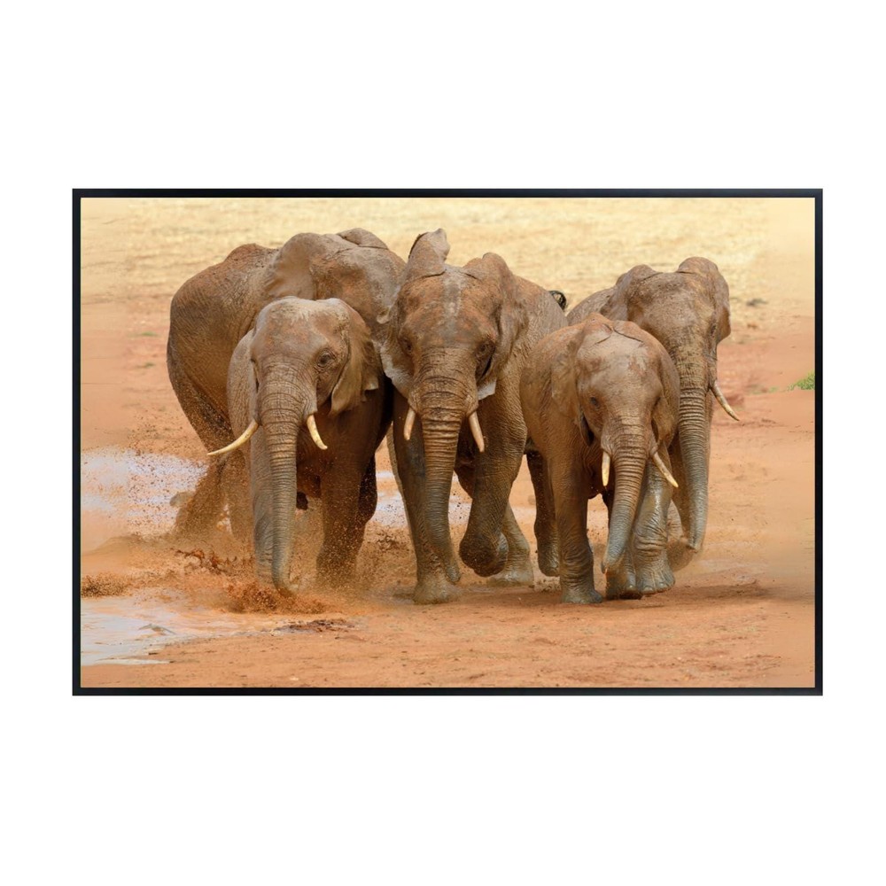 Running Elephants Wildlife Poster – Safari Animal Wall Art Print Unframed