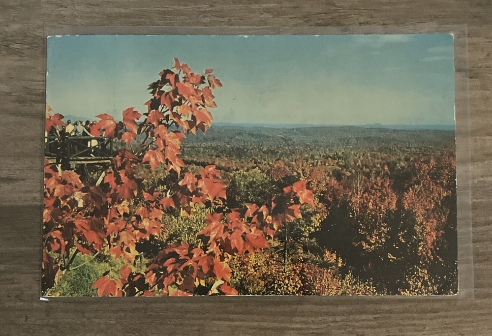 Vermont Hogback Mountain Platform On Molly Stark Trail Vintage c1967 Postcard
