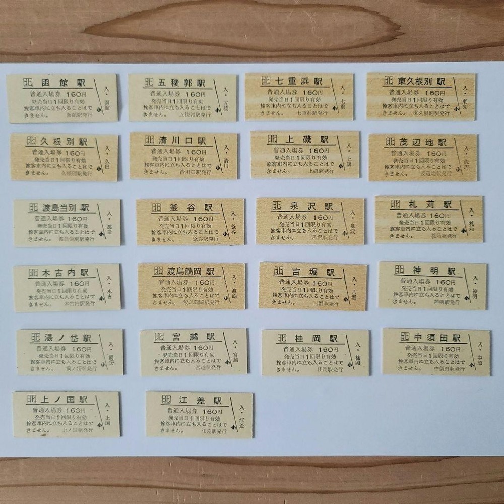 Hokkaido Esashi Line All Station Hard Ticket Admission Ticket Set with Case #a63