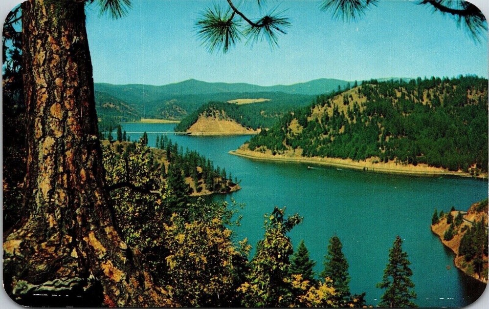 Beauty Bay Lake Coeur D’Alene N Idaho ID Postcard UNP VTG Dexter Unused Vintage