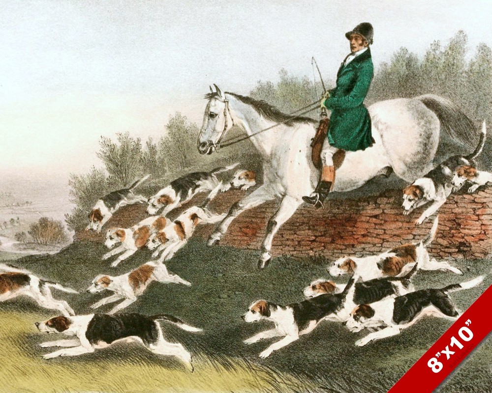 DOWNHILL FOX HUNT HORSE EQUESTRIAN HUNTING ART PAINTING REAL CANVAS PRINT