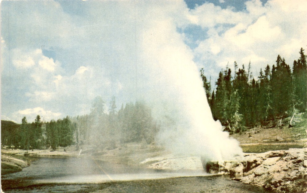 Haynes Studios Inc., Bozeman, Montana, Riverside Geyser, Yellowstone Postcard