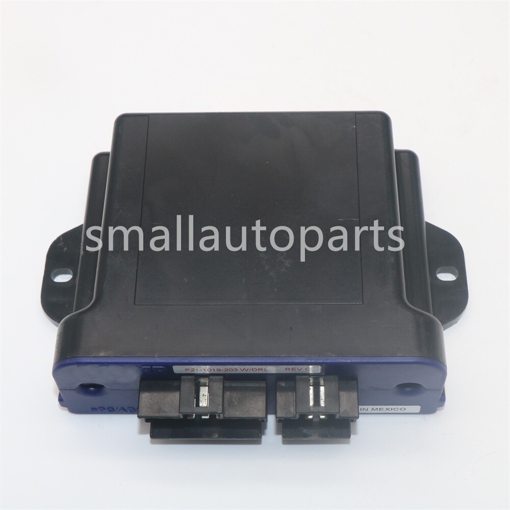 Genuine Lighting Control Module P21-1019-203 P211019203 for 384 *cm