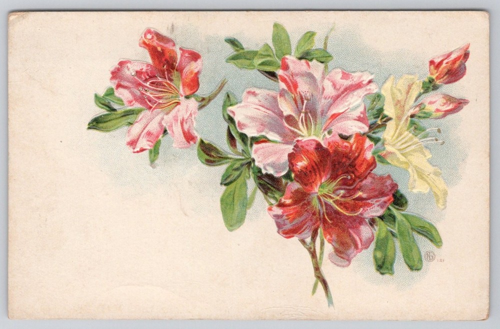 Vintage Embossed Azalea Rhododendron Floral Postcard Early 1900s B Series 121