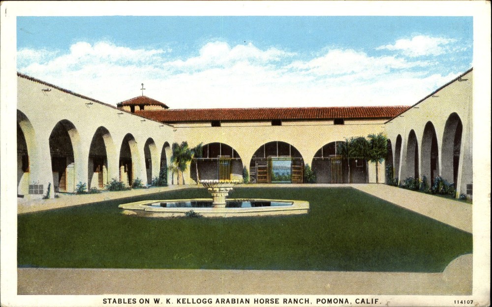 Stables on W.K. Kellogg Arabian Horse Ranch ~ Pomona California ~ 1920s postcard