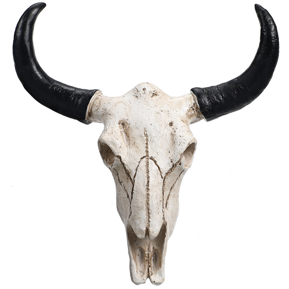 Resin Cow Head Longhorn Skull Decor Cattle Skull Wall Decor Skull Wall Hanging