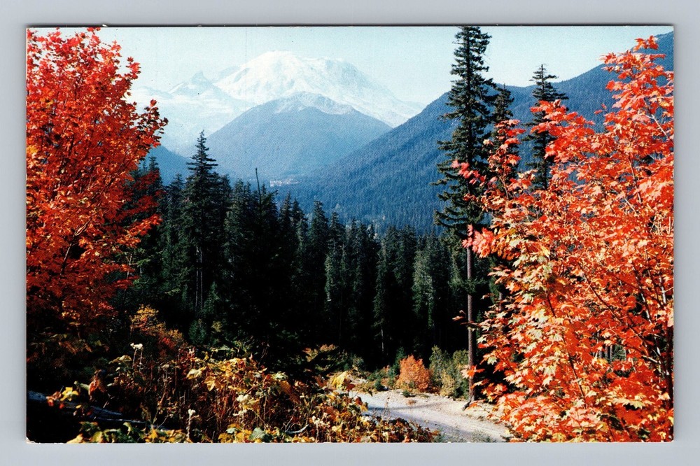 Mount Rainier and White River Valley and Naches Pass Highway Vintage Postcard