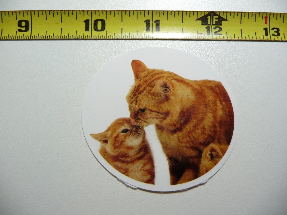 Mom Grooming Kitten Cat Pet Decal Sticker Feline Home Decor