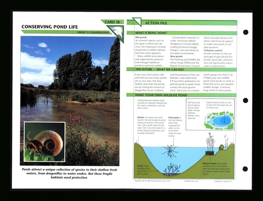Pond Life Wildlife Conservation Fact File Card for Home School Education 11.18