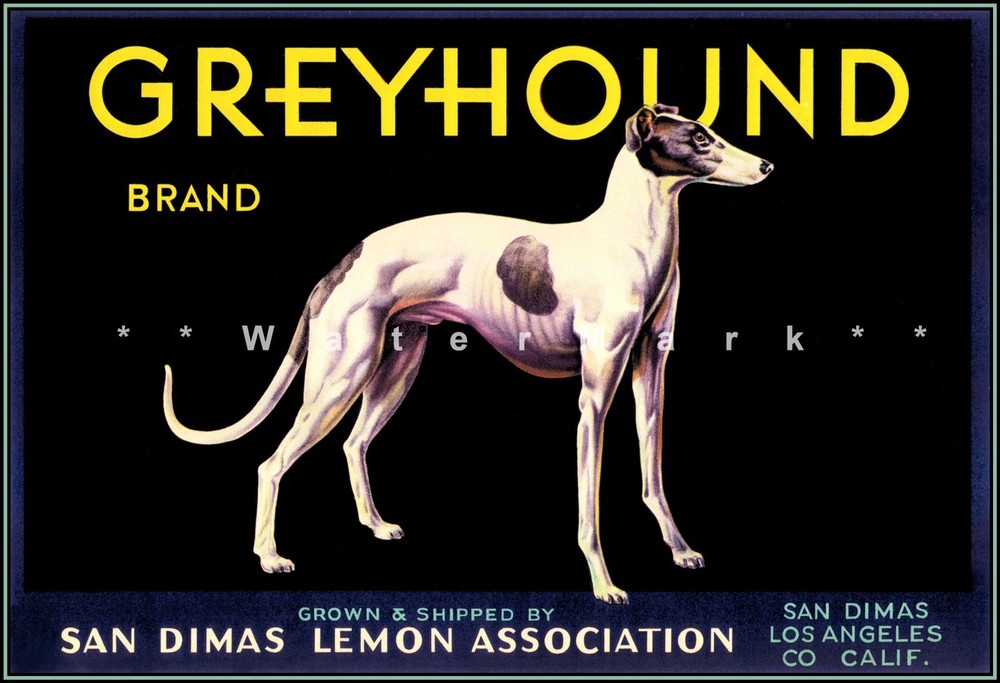 1930s Greyhound Retro Fruit Crate Lemon Label Vintage Poster Art Print