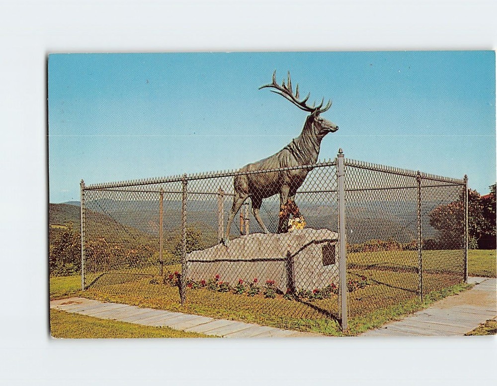 Postcard The Elk Famous Memorial Landmark  Mohawk Trail through Berkshire Hills