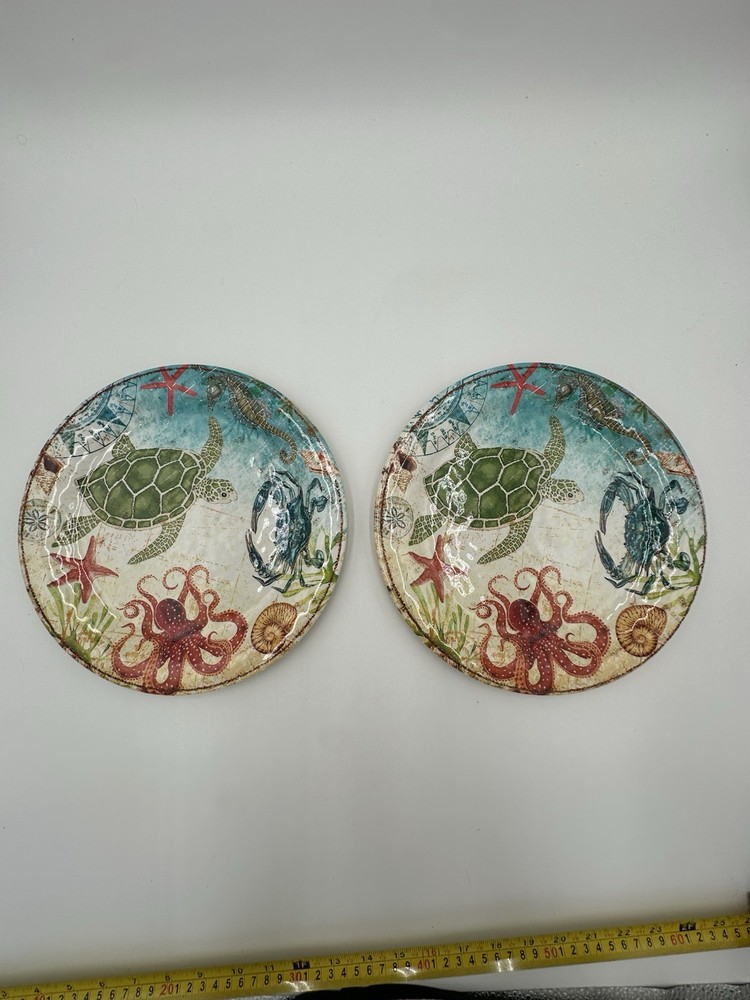 2 Pier 1 Speedy & Friends Melamine Dinner Plate 11