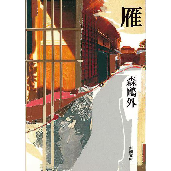 Wild Goose Revised Edition Paperback Literature Classic Book For Ages 14+