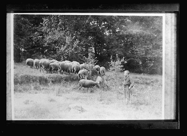 Grand Val Paris France 1918 American Red Cross Refugee Children Sheep