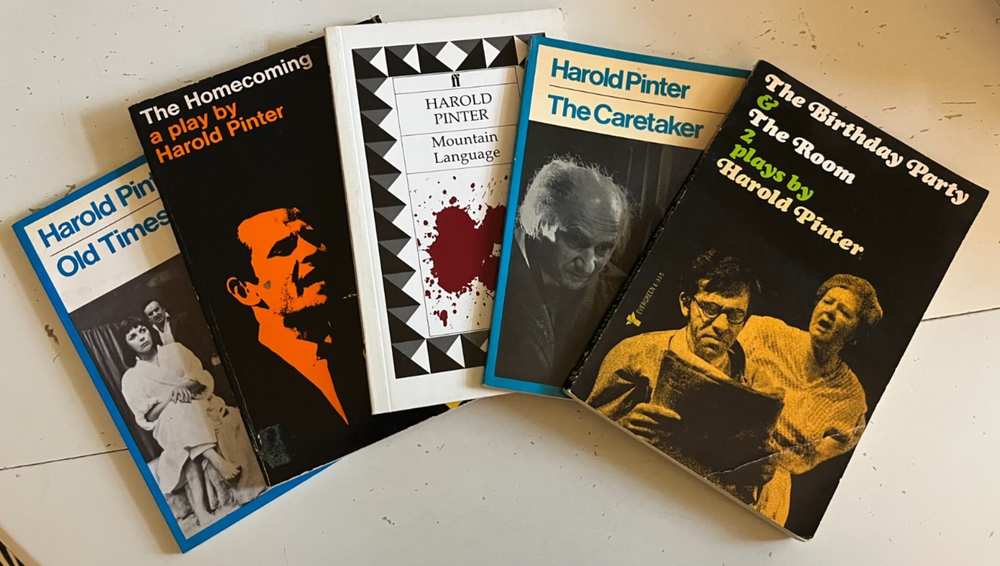 HAROLD PINTER BIRTHDAY PARTY ROOM CARETAKER HOMECOMING OLD TIMES MOUNTAIN LANG