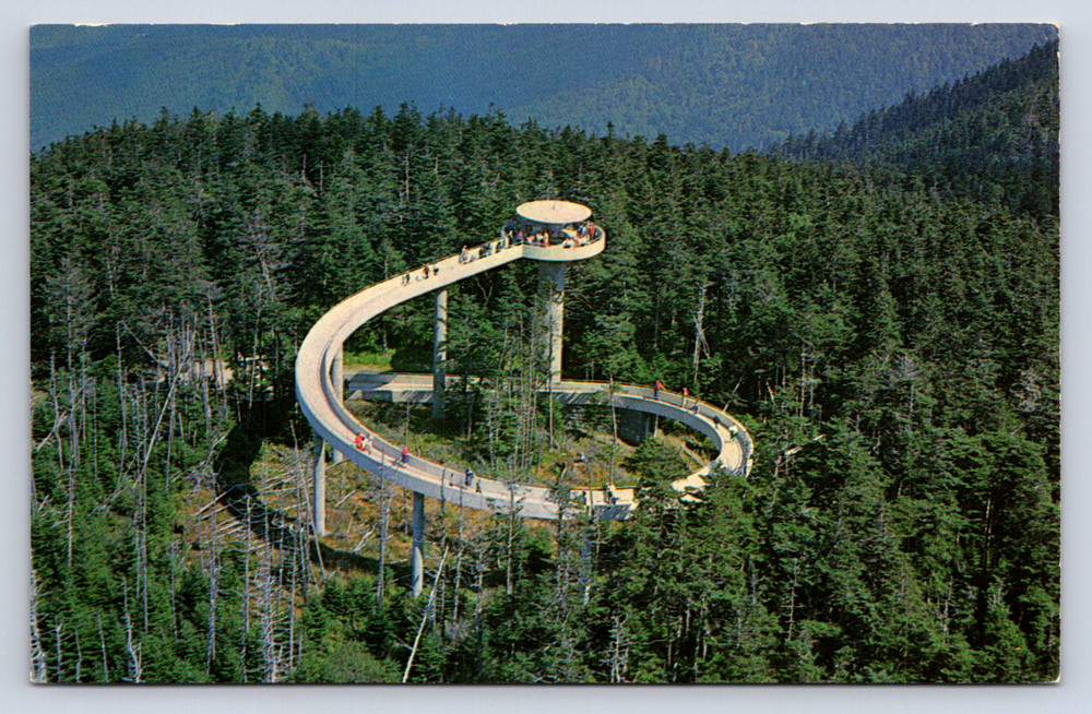 Vintage Postcard Clingman's Dome Great Smoky Mountains National park