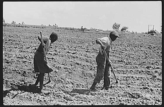 Flint River Farms,Georgia,GA,Farm Security Administration,Spring 1939,FSA