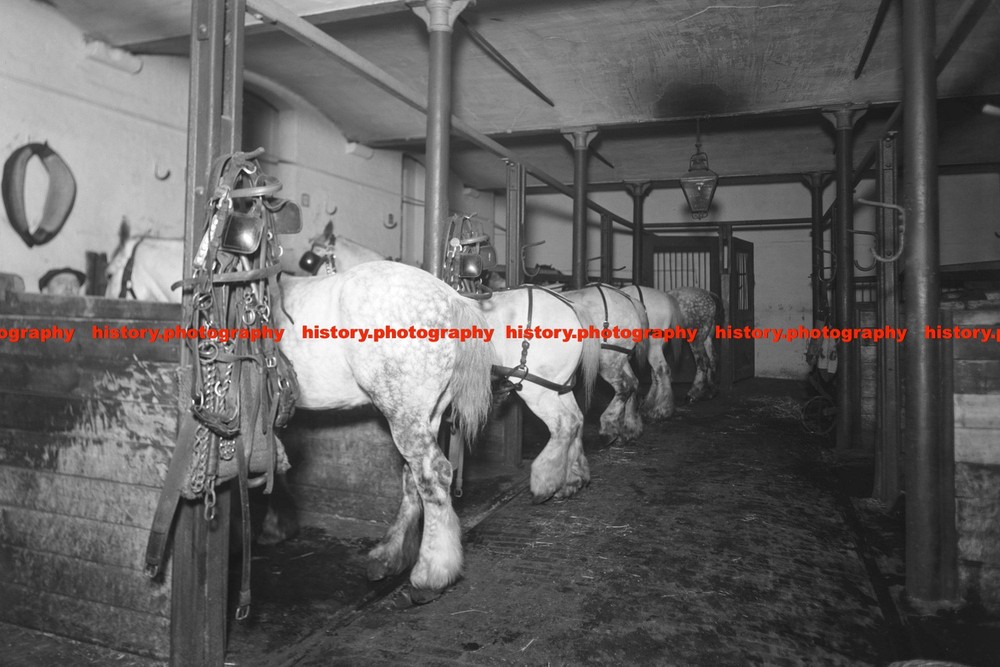 F022151 Stables at Paddington Station GWR London Great Britain 1936