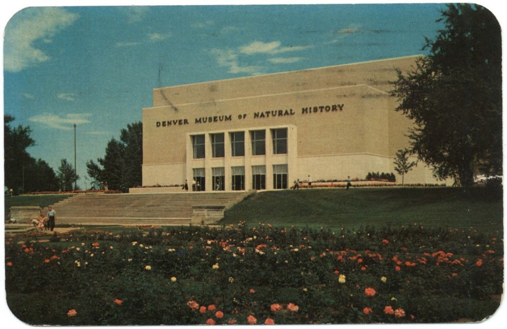 Denver Museum of Natural History Colorado ~ 1964 vintage postcard