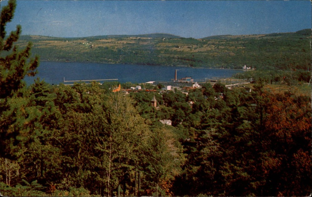 Watkins Glen Village Seneca Lake New York aerial view ~ 1950s-60s postcard
