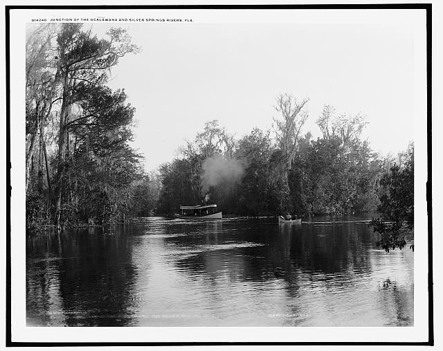 Photo:Junction of the Ocklawaha sic and Silver Springs Rivers, Fla.