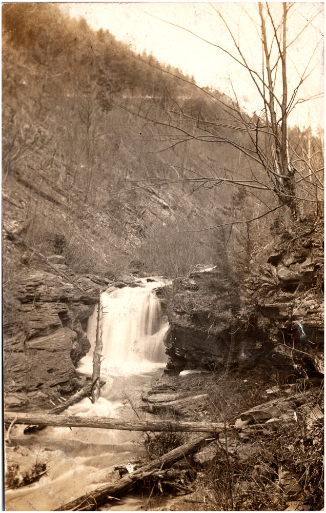 Scenic View of Forest Creek in Wellsboro Pennsylvania 1900s RPPC Postcard Photo