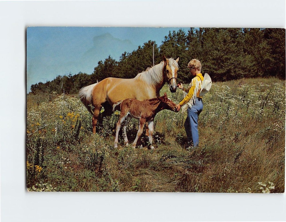 Postcard Palomino Mare & Foal