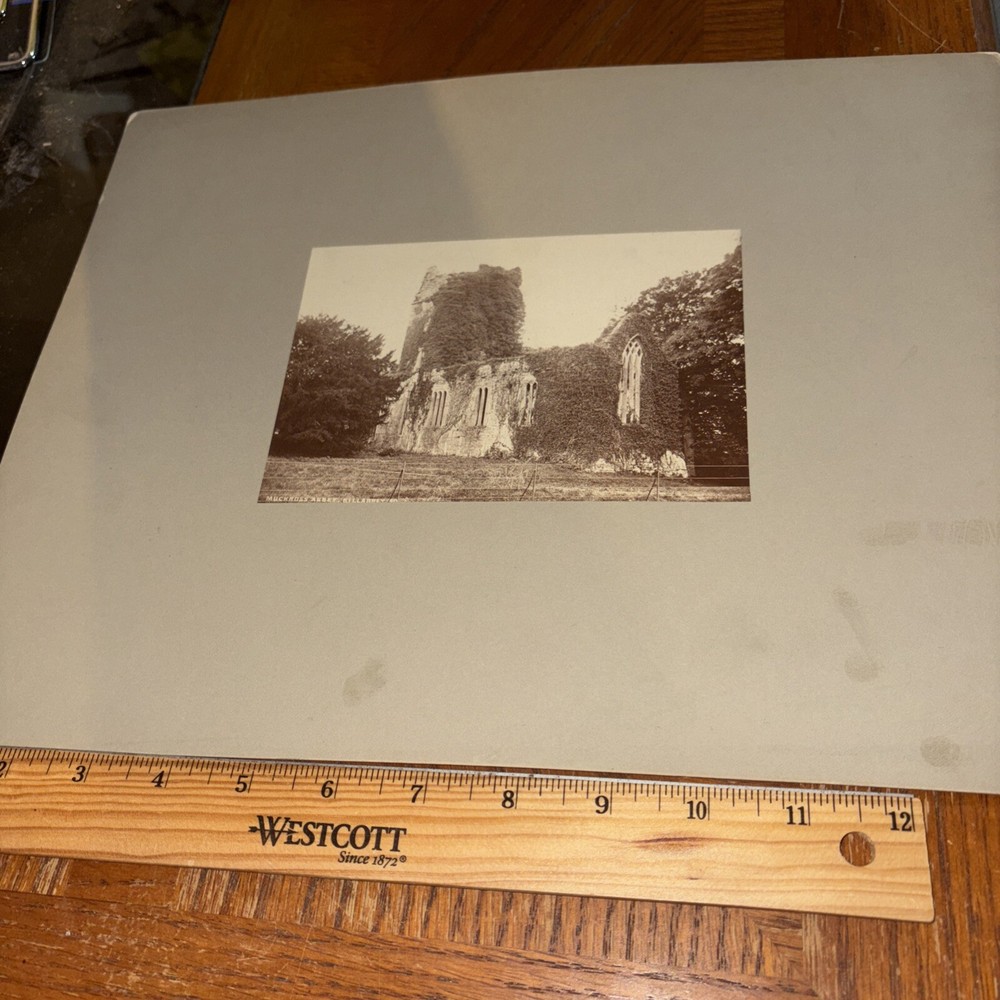 Vintage Muckross Abbey Mounted English Architecture Photo Killarney Ireland