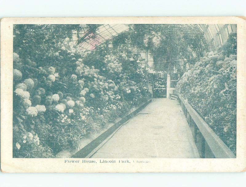Unused Divided-Back FLOWER HOUSE AT LINCOLN PARK Chicago Illinois IL c8105