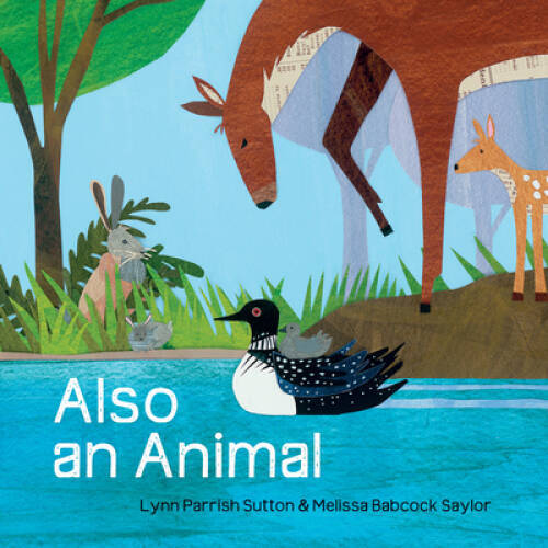 Also an Animal Hardcover by Melissa Babcock Saylor - Explore Themes of Nature, Identity, and Connection - Good Condition
