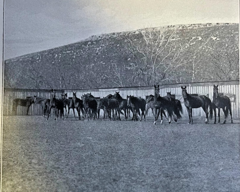 1909 Army School of Horsemanship illustrated