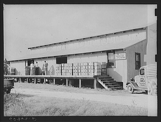 Tomato packinghouse,Homestead,Florida,FL,Miami Dade County,Marion Post Wolcott