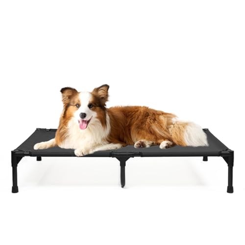 Elevated Dog Beds Large Sized Dogs, Large (42.0