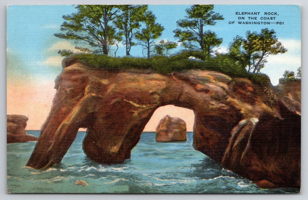 Elephant Rock Olympic Peninsula Washington Coast Vintage Linen Postcard