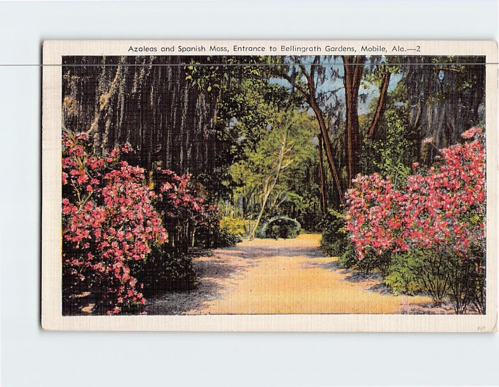 Postcard Azaleas and Spanish Moss Entrance to Bellingrath Gardens Mobile Alabama