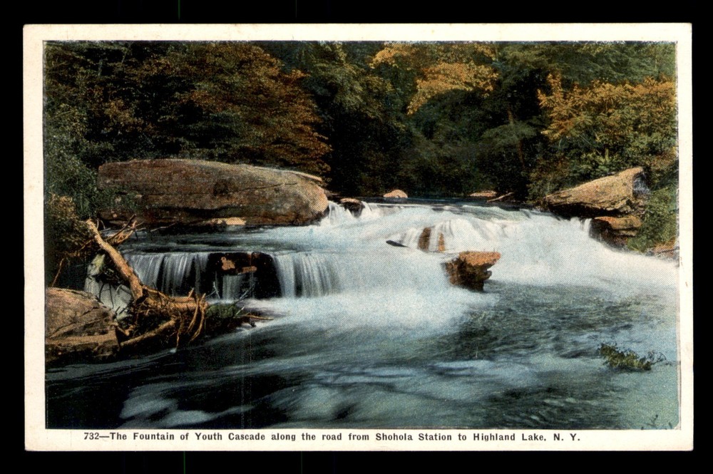 Fountain Of Youth Shohola Station Highland Lake New York NY Unp Postcard