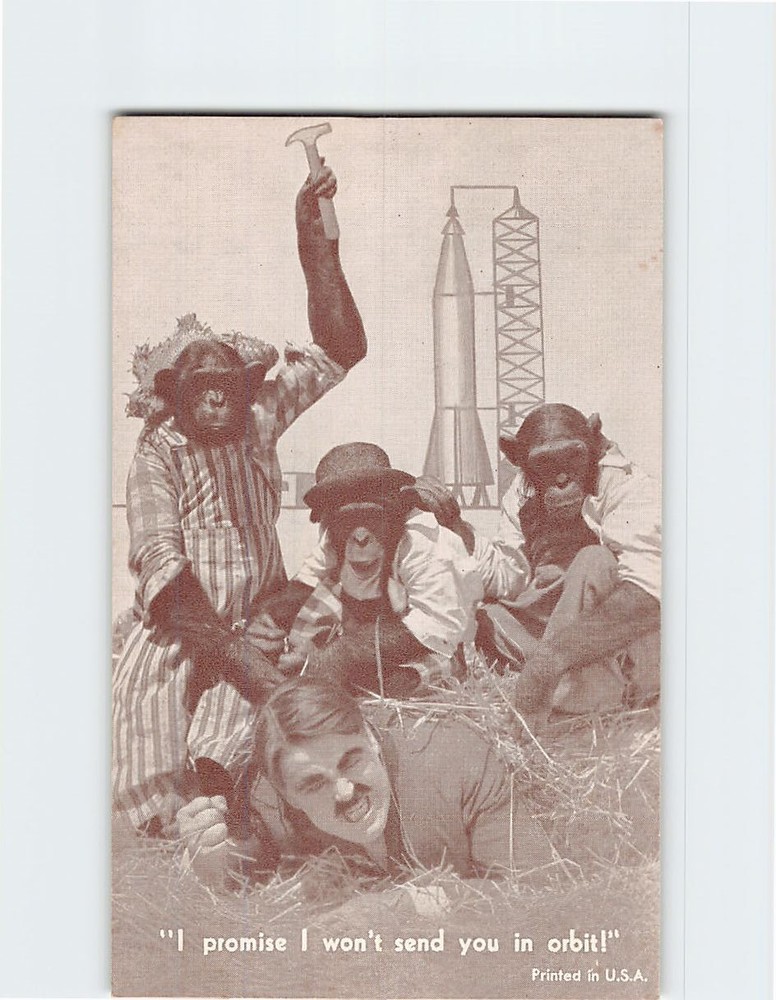Postcard Chimpanzee Monkey Joke/Humor Anthropomorphic Animal Comic