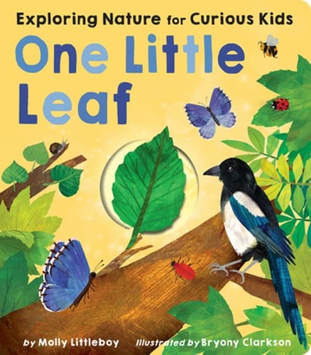 One Little Leaf: Exploring Nature for Curious Kids by Molly Littleboy: Used