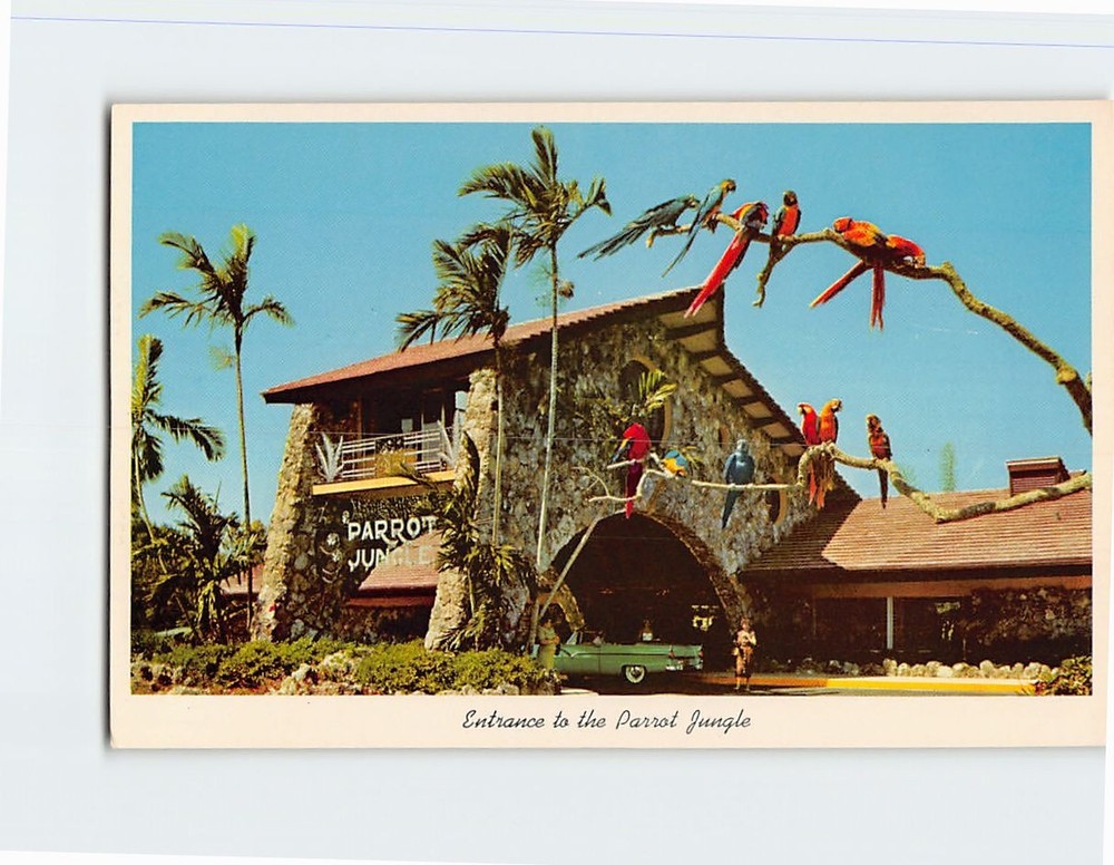 Postcard Entrance to the Parrot Jungle Miami Florida USA