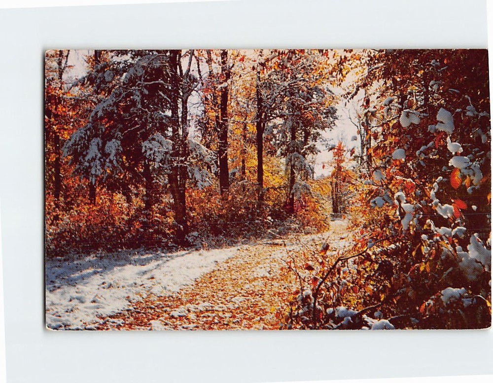 Postcard October Snowfall Lake Placid New York USA