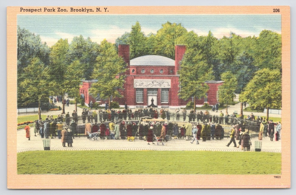 Brooklyn New York~Prospect Park Zoo~Crowd Around Enclosure~Linen Postcard