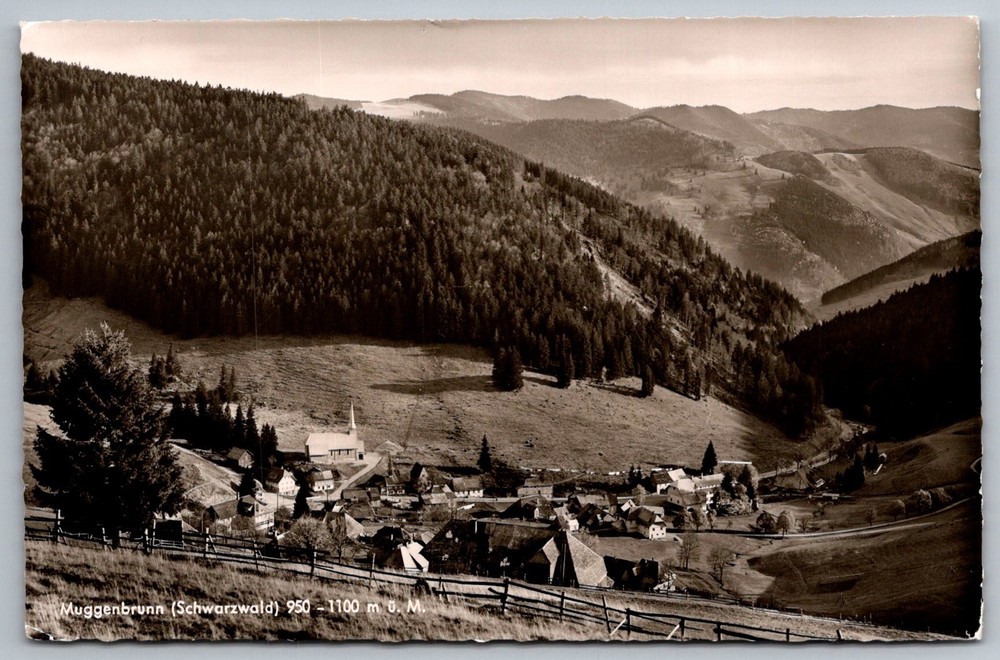 Muggenbrunn Schwarzwald Scenic View Real Photo Postcard