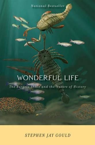 Stephen Jay Gould Wonderful Life (Paperback)Another great item from Rarewaves USA | Free delivery!