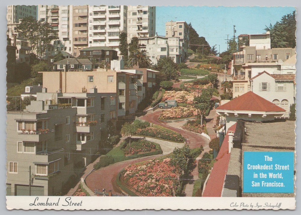 San Francisco CA~Aerial Lombard Street Crookedest In World~Continental Postcard