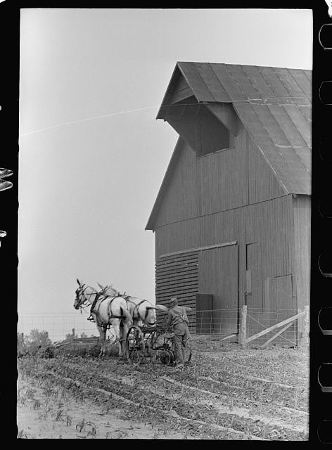 Photo:1930s Farm Horses Plowing Field Barn Rural Agriculture Photo