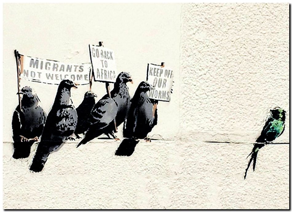 BANKSY STREET ART *FRAMED* CANVAS PRINT Anti Immigration Pigeons 18x12
