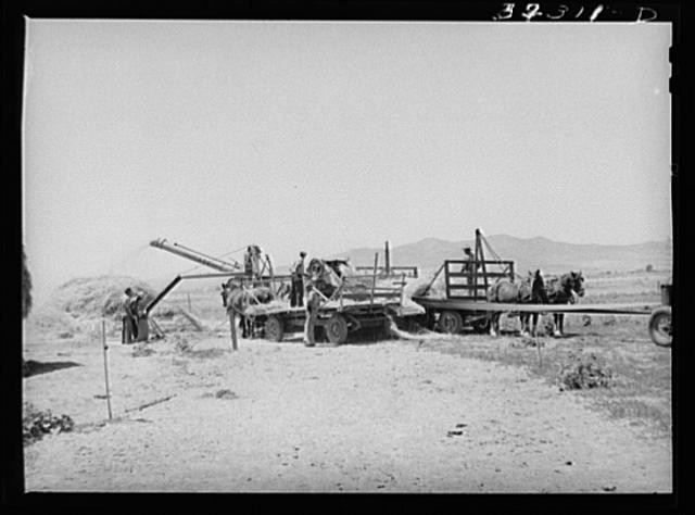 Box Elder County,Utah,UT,Farm Security Administration,August 1940,FSA 1