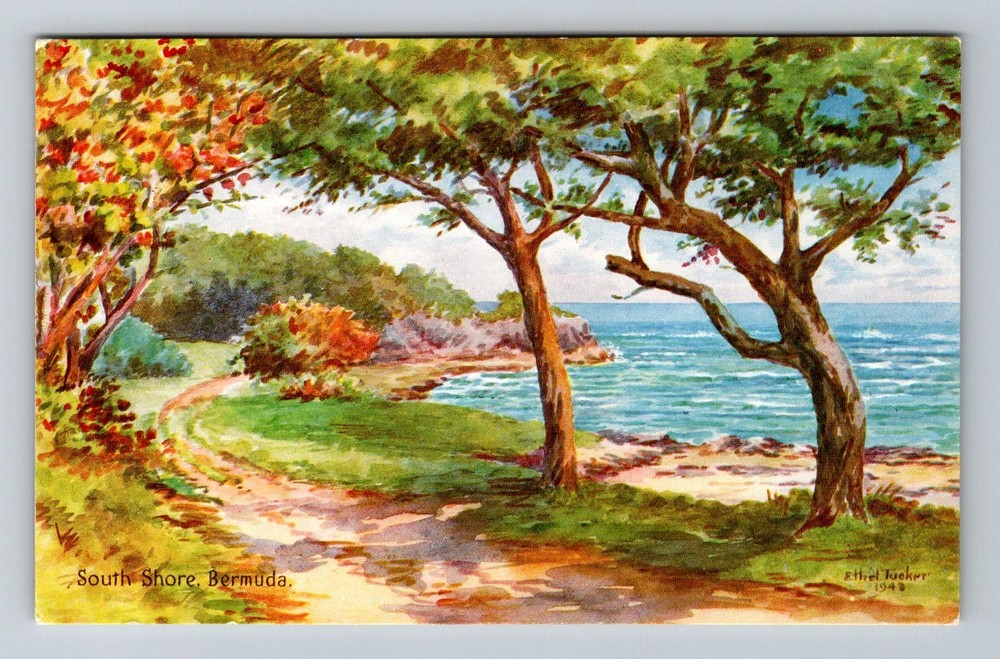 Bermuda- South Shore Painting Standard Souvenir Old Postal PC Vintage Postcard